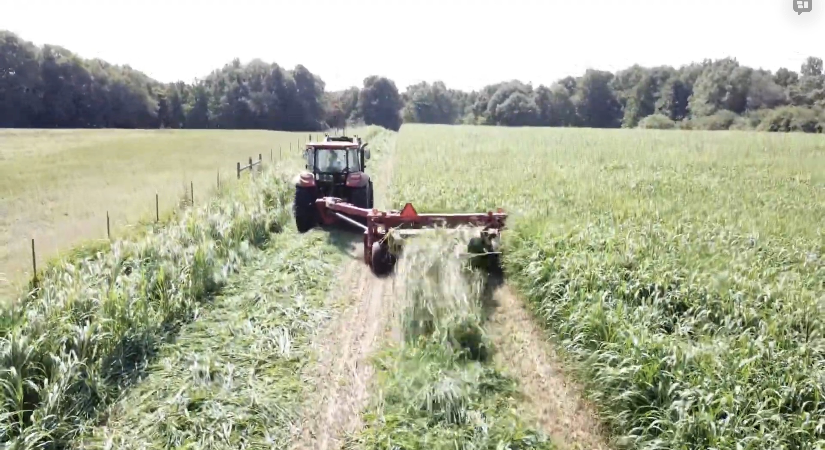 RizzieFarms - Cutting and baling millet