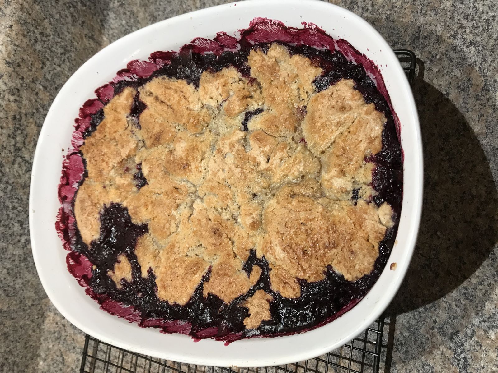 Fresh blueberry cobbler with golden biscuit topping.