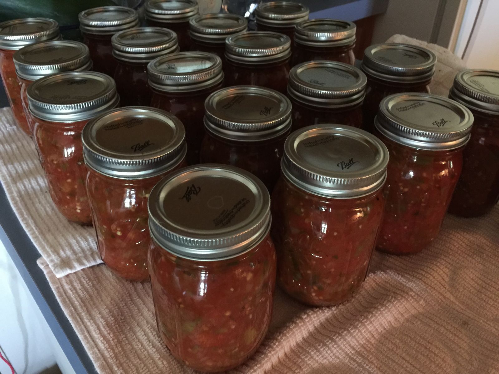 Rows of canned tomato basil marinara jars on a counter.