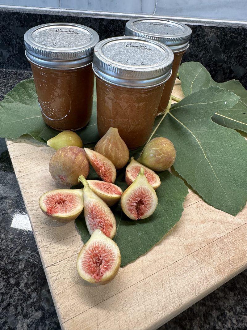 Fresh Fig Jam