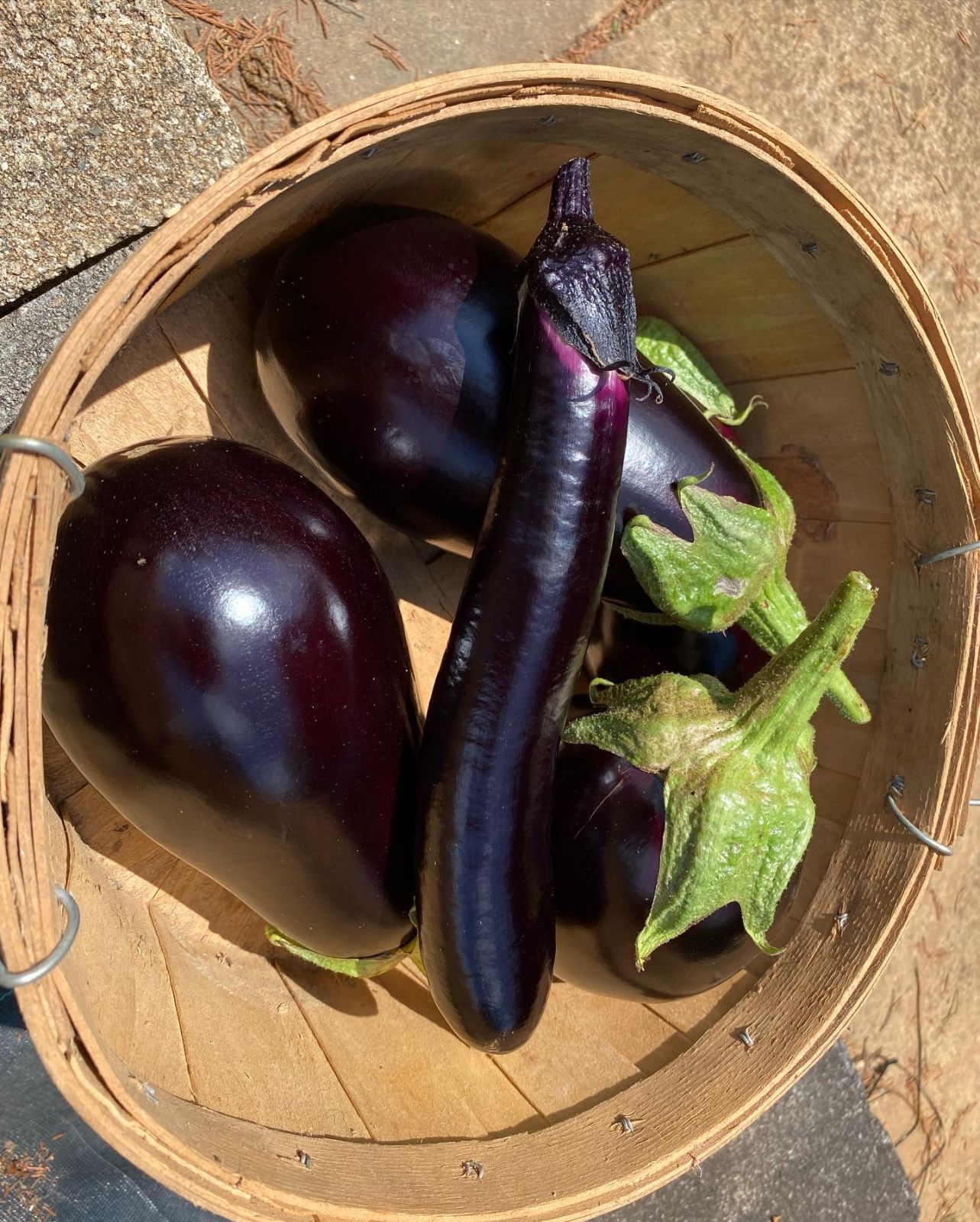 Roasted Japanese Eggplant with Garlic