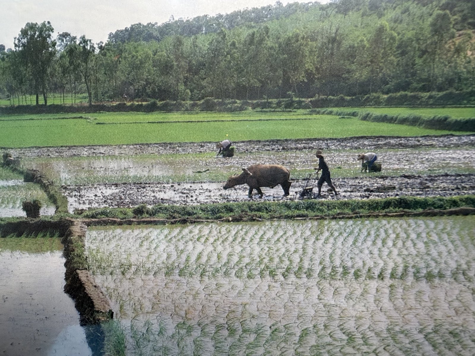 Zhongshan, China