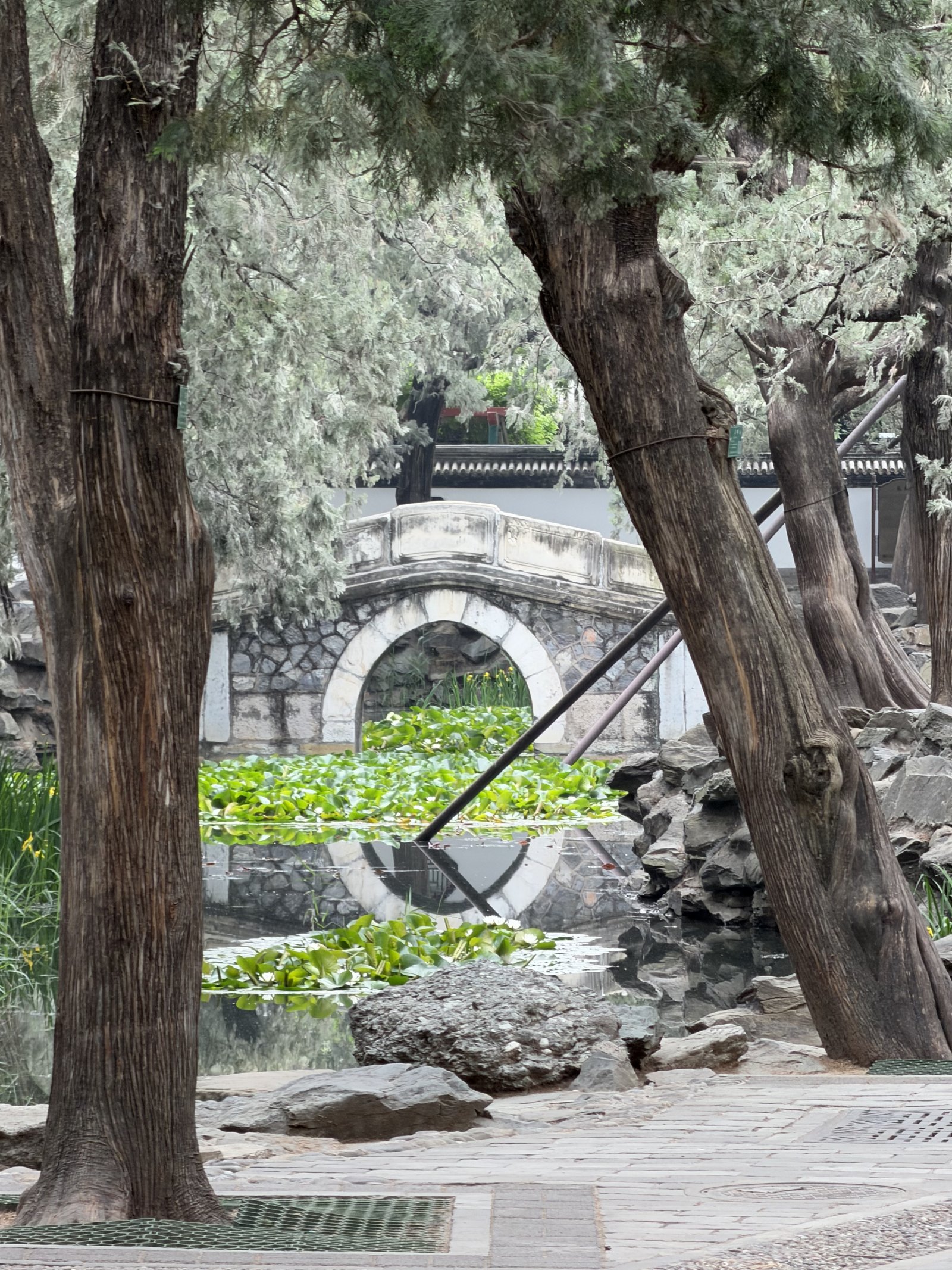 Beijing China - 2026