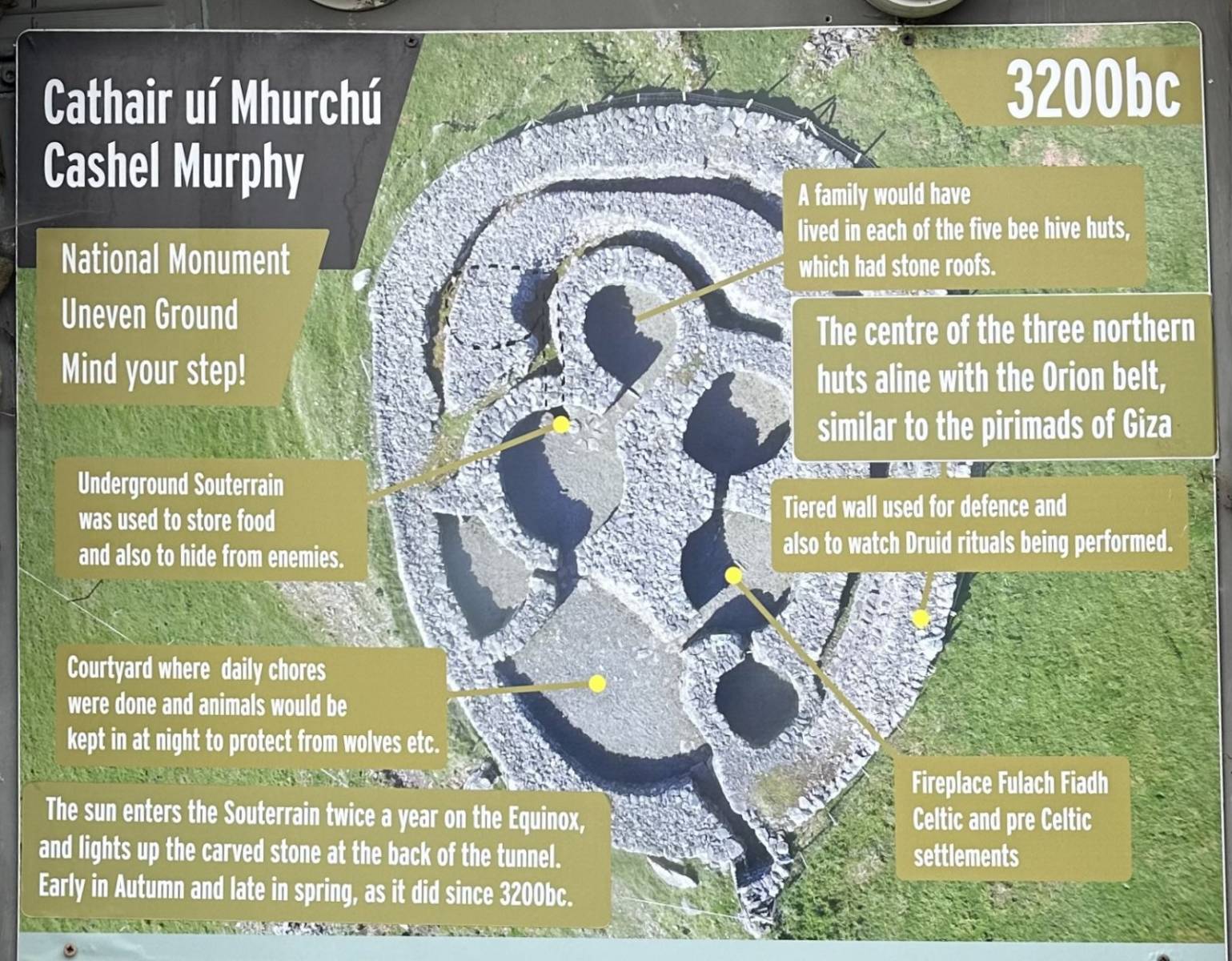 Cashel Murphy