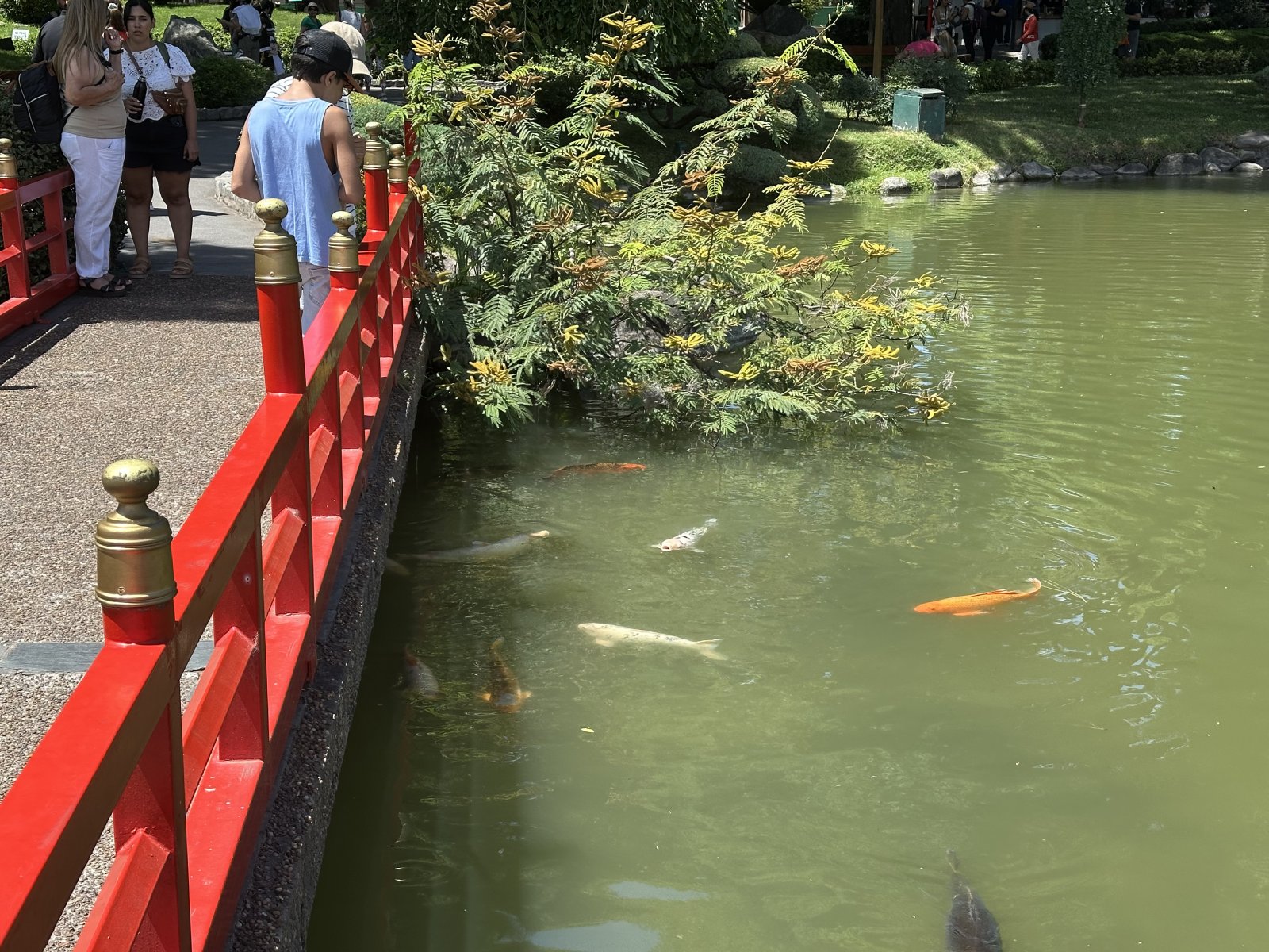 Japanese Garden Buenos Aires