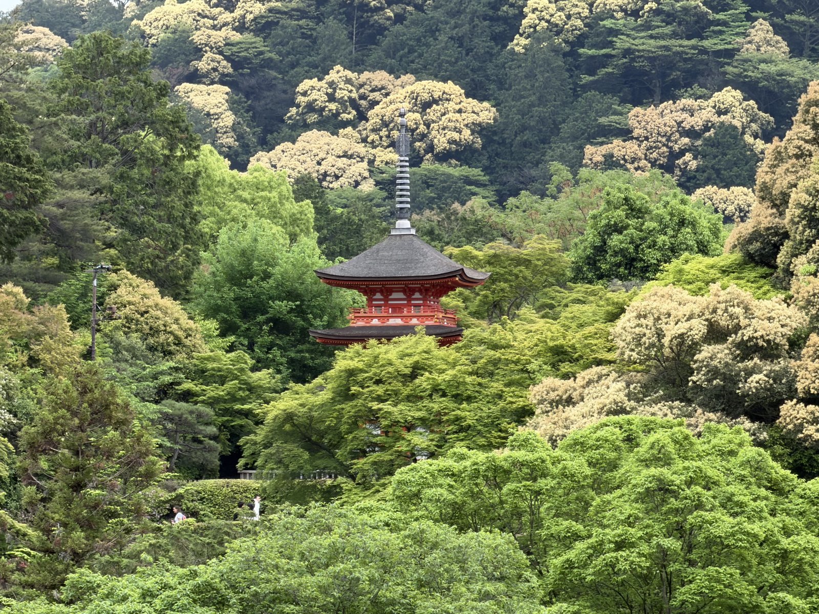 Kyoto