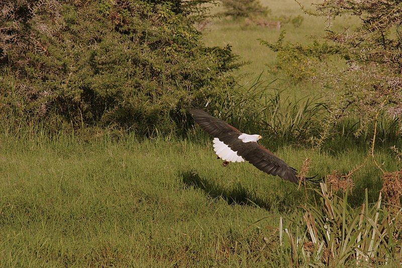 Lake Manyara