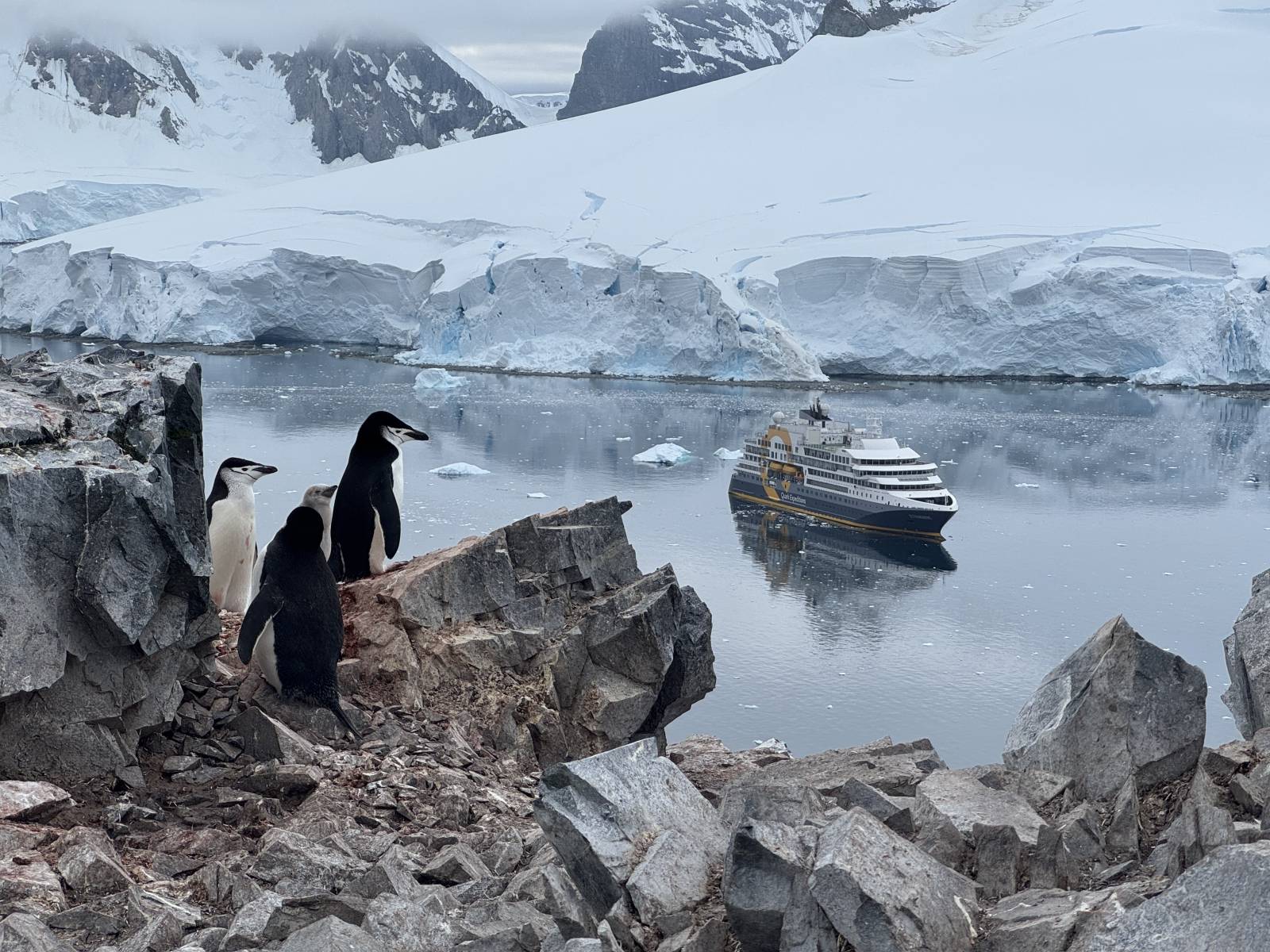 Antarctica our 7th Continent - Orne Harbour
