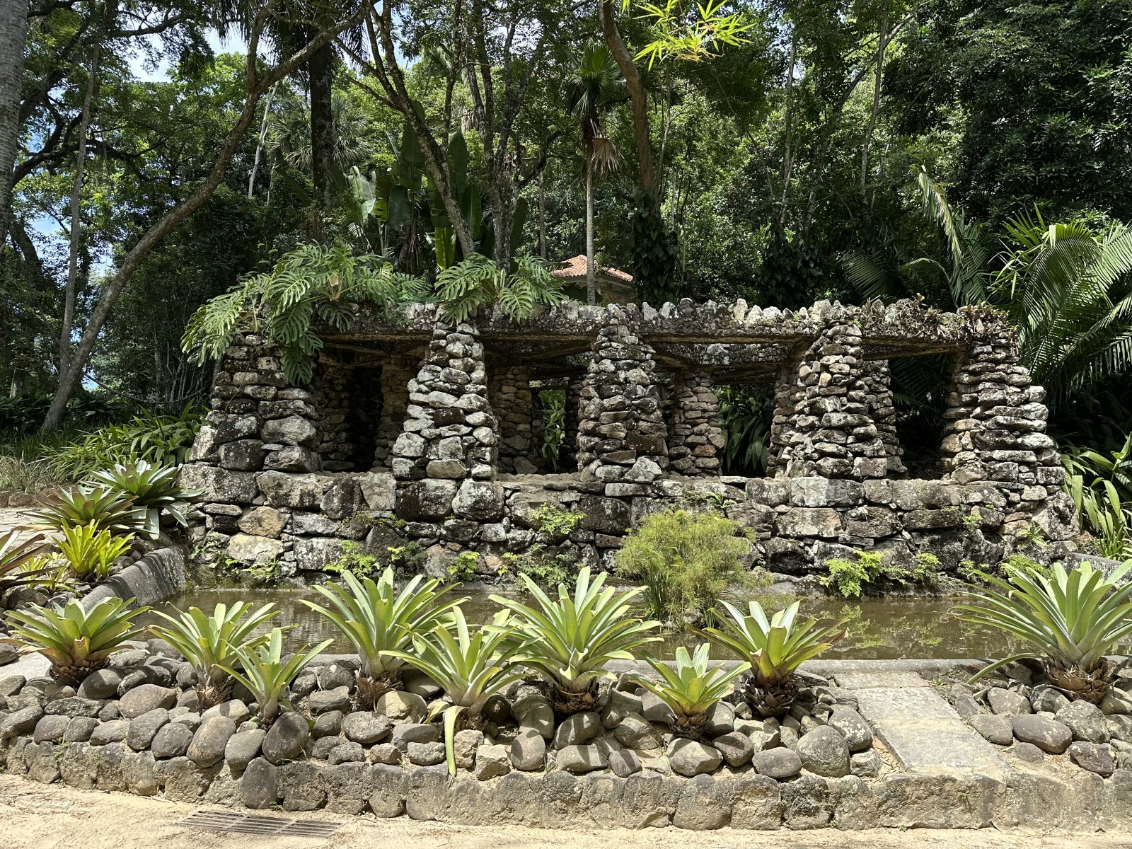 Rio de Janeiro Botanical Gardens