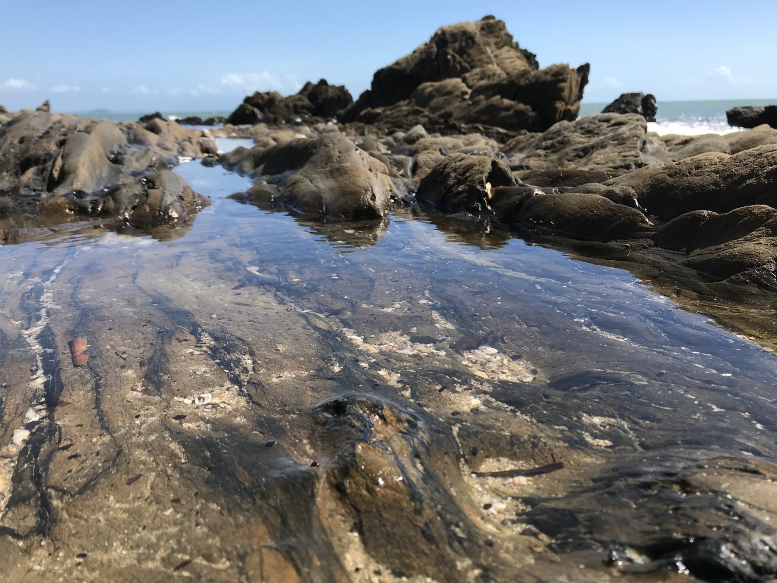 Thala Beach Reserve Port Douglas Australia