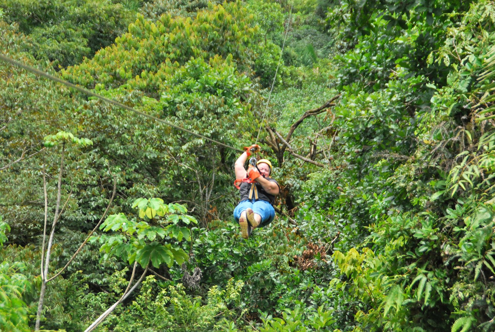 Titi Canopy Tour - Manuel Antonio, Costa Rica