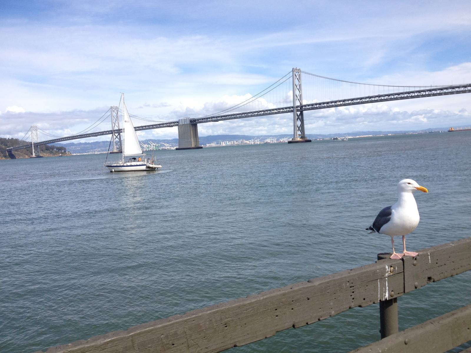 Wharf & Pier 7 San Francisco California 