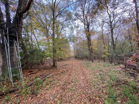 Farm Treestand